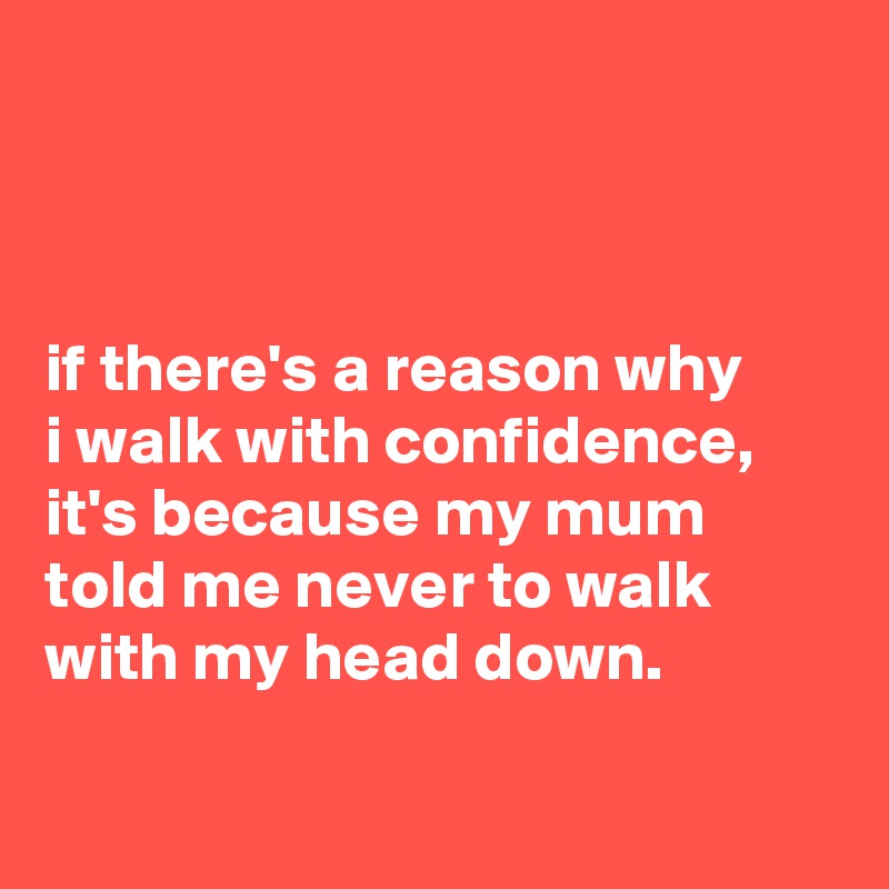 



if there's a reason why
i walk with confidence, it's because my mum told me never to walk with my head down.

