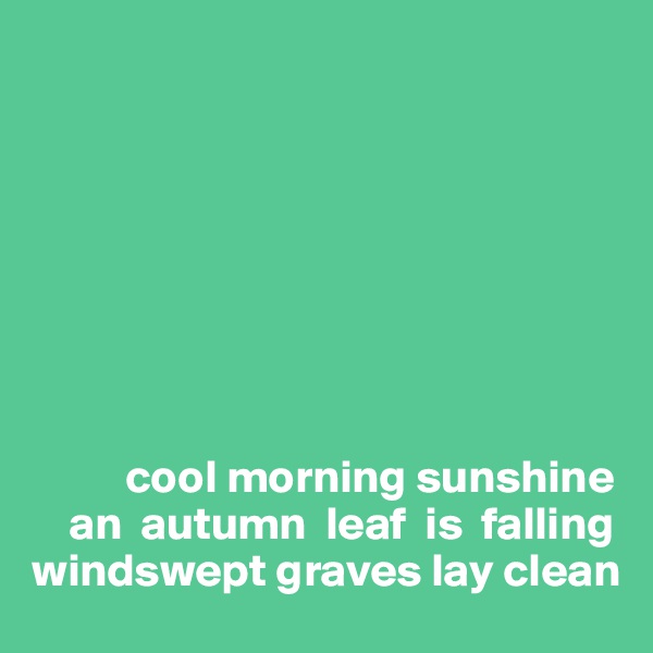 








          cool morning sunshine 
    an  autumn  leaf  is  falling 
windswept graves lay clean