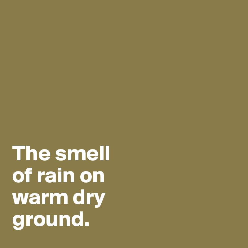  





The smell 
of rain on 
warm dry 
ground.