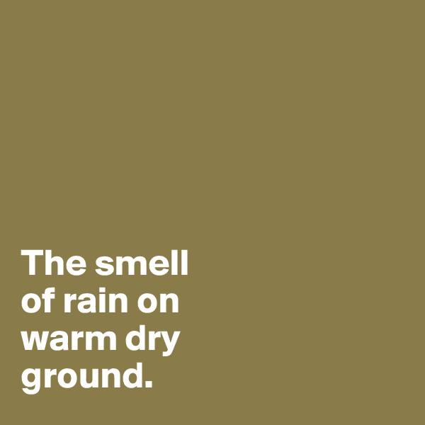  





The smell 
of rain on 
warm dry 
ground.