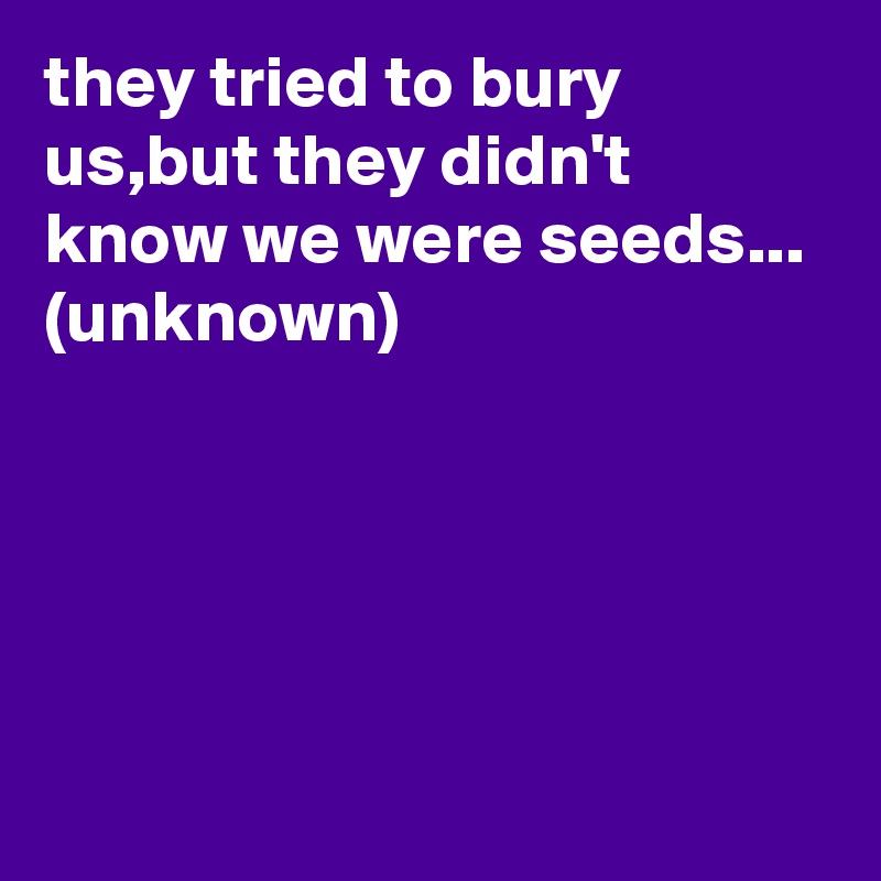 they tried to bury us,but they didn't know we were seeds...
(unknown)





