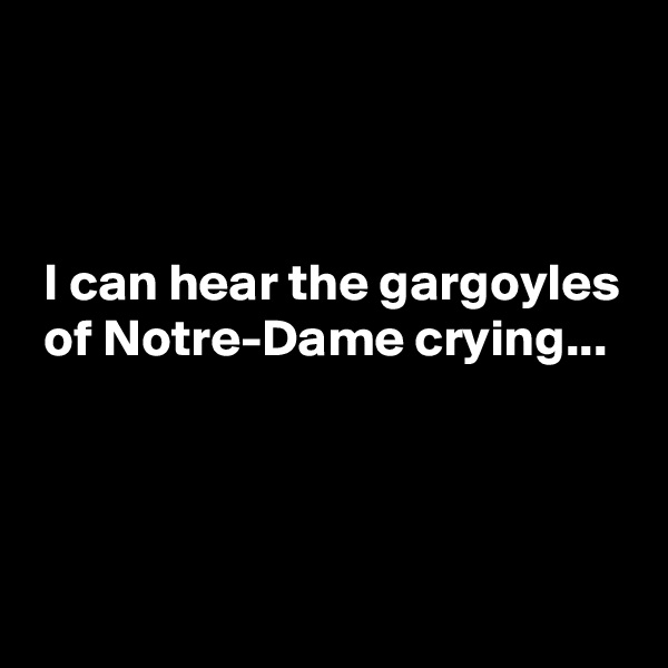 



 I can hear the gargoyles
 of Notre-Dame crying...



