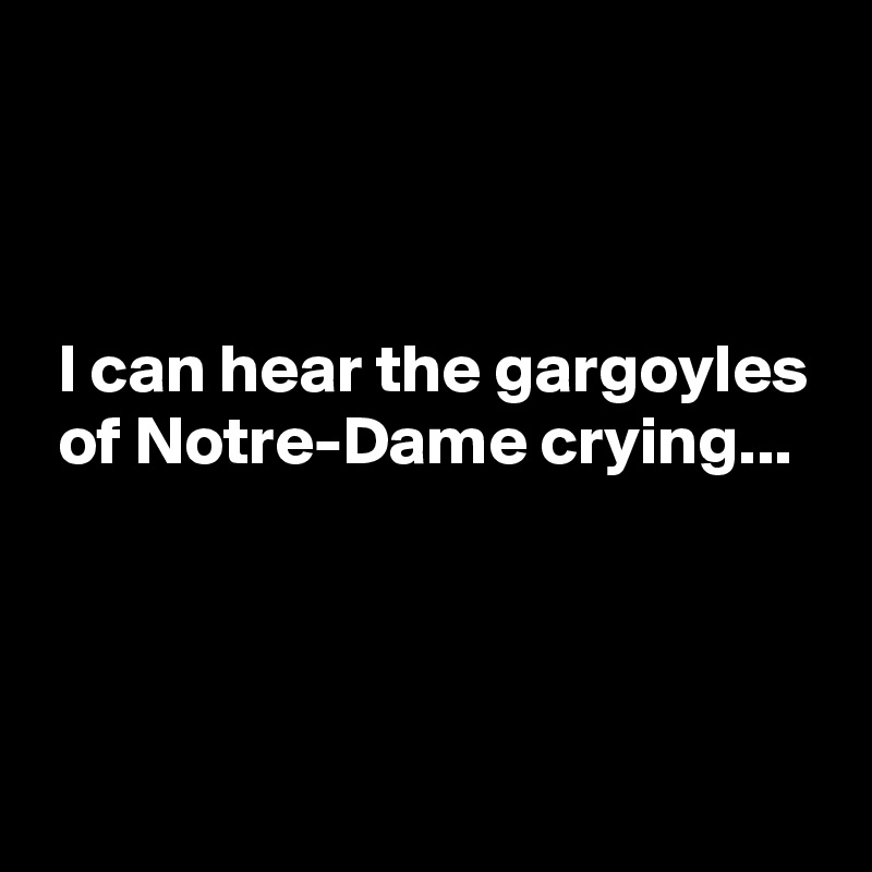 



 I can hear the gargoyles
 of Notre-Dame crying...



