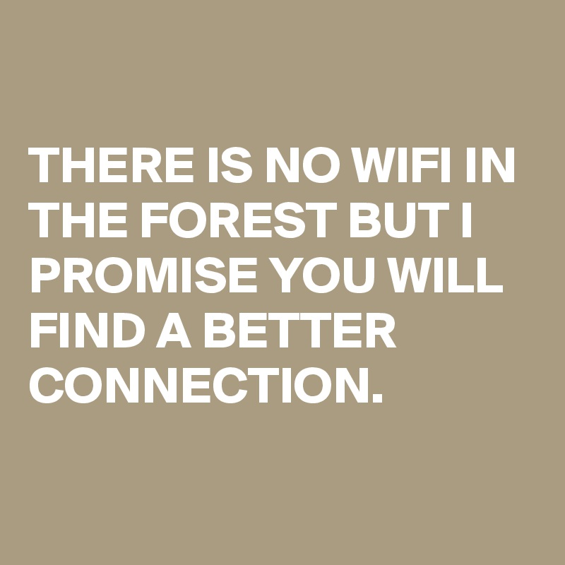 

THERE IS NO WIFI IN THE FOREST BUT I PROMISE YOU WILL FIND A BETTER CONNECTION.

