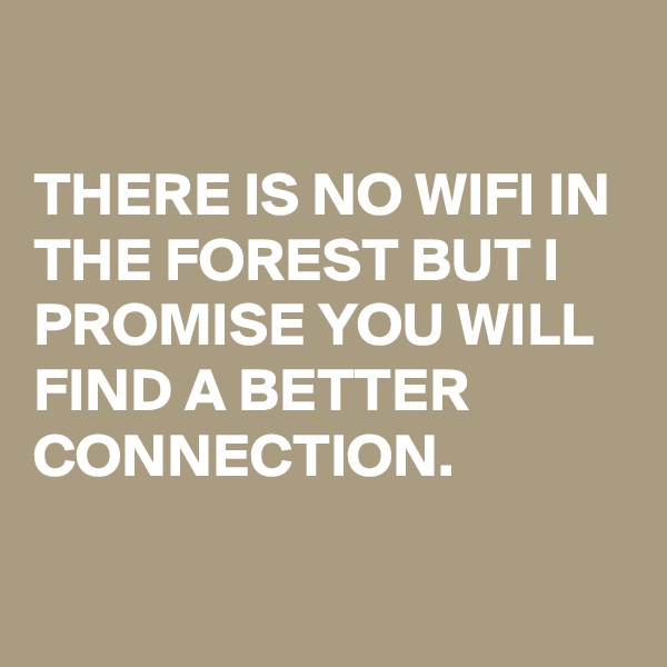 

THERE IS NO WIFI IN THE FOREST BUT I PROMISE YOU WILL FIND A BETTER CONNECTION.

