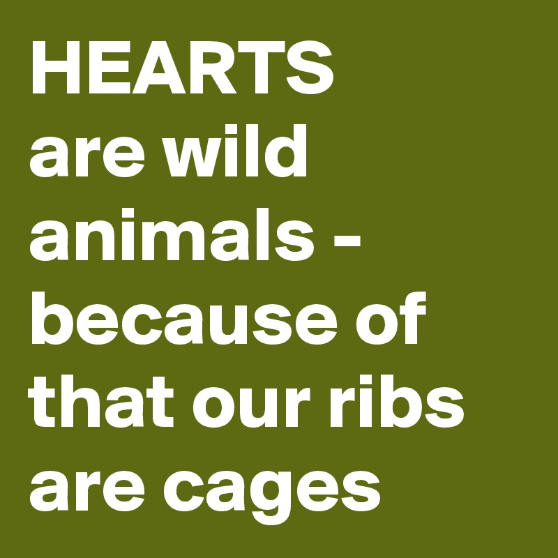 HEARTS
are wild animals - because of that our ribs are cages