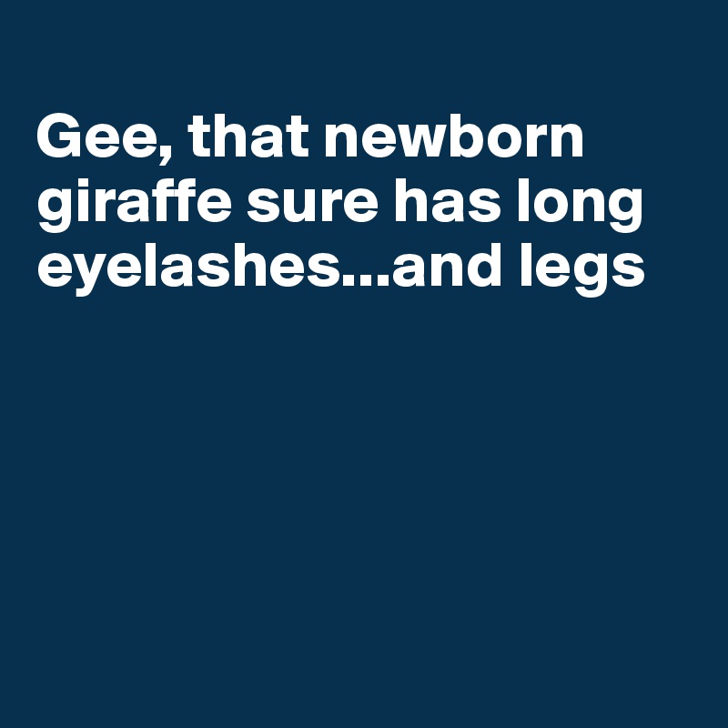 
Gee, that newborn giraffe sure has long eyelashes...and legs





