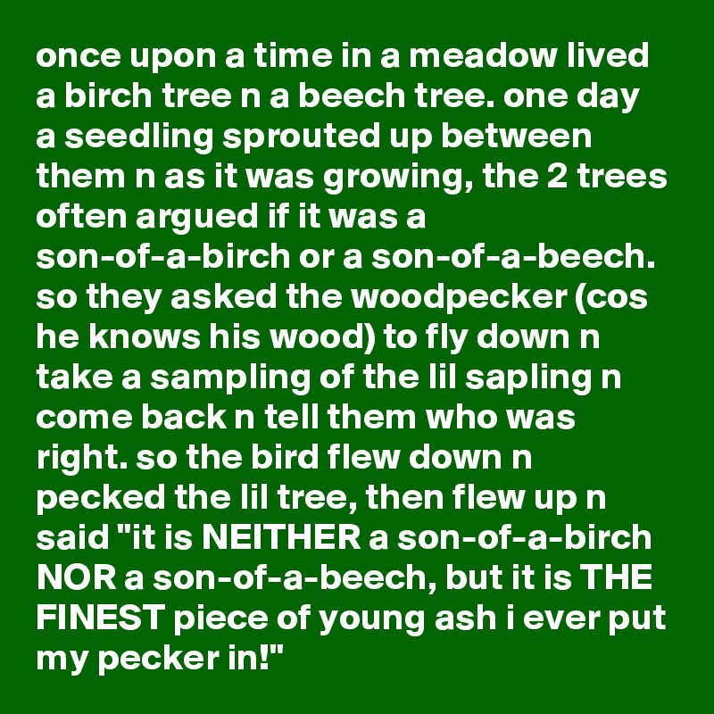 once upon a time in a meadow lived a birch tree n a beech tree. one day a seedling sprouted up between them n as it was growing, the 2 trees often argued if it was a son-of-a-birch or a son-of-a-beech. so they asked the woodpecker (cos he knows his wood) to fly down n take a sampling of the lil sapling n come back n tell them who was right. so the bird flew down n pecked the lil tree, then flew up n said "it is NEITHER a son-of-a-birch NOR a son-of-a-beech, but it is THE FINEST piece of young ash i ever put my pecker in!"