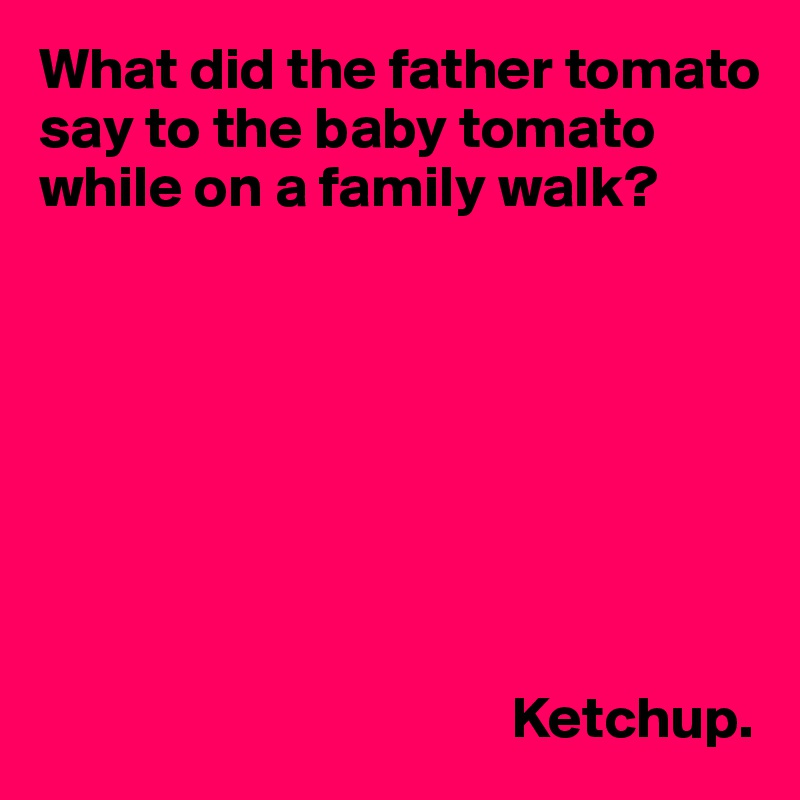 What did the father tomato say to the baby tomato while on a family walk?








                                        Ketchup.