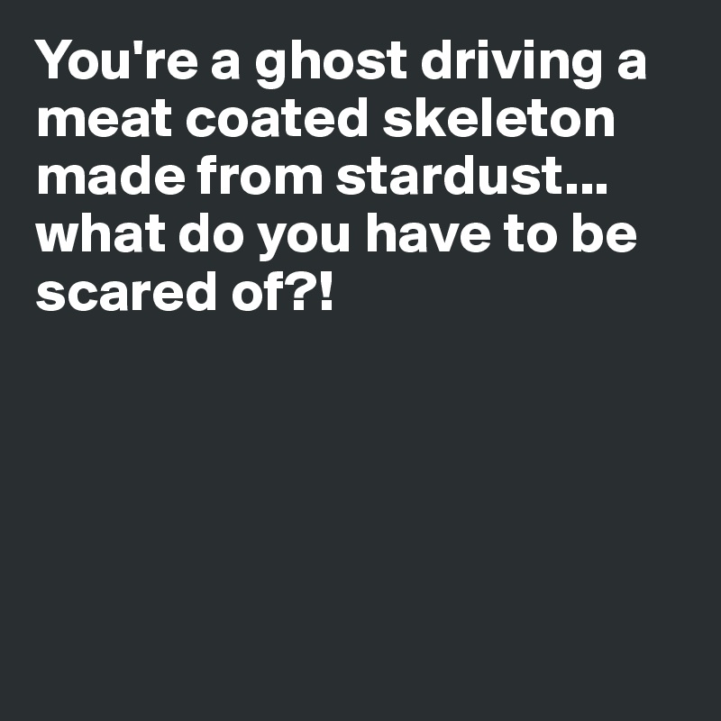 You're a ghost driving a meat coated skeleton made from stardust... what do you have to be scared of?! 





