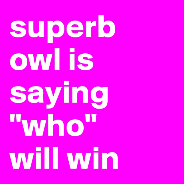 superb
owl is
saying
"who" 
will win