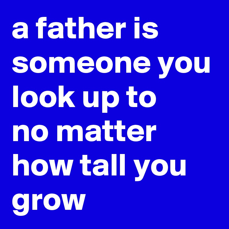 a father is someone you look up to 
no matter how tall you grow