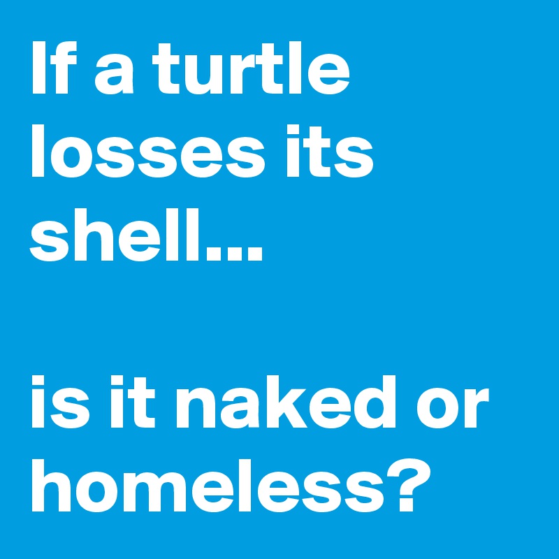 If a turtle losses its shell...

is it naked or homeless?