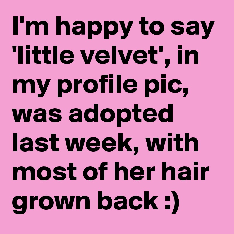 I'm happy to say 'little velvet', in my profile pic, was adopted last week, with most of her hair grown back :)