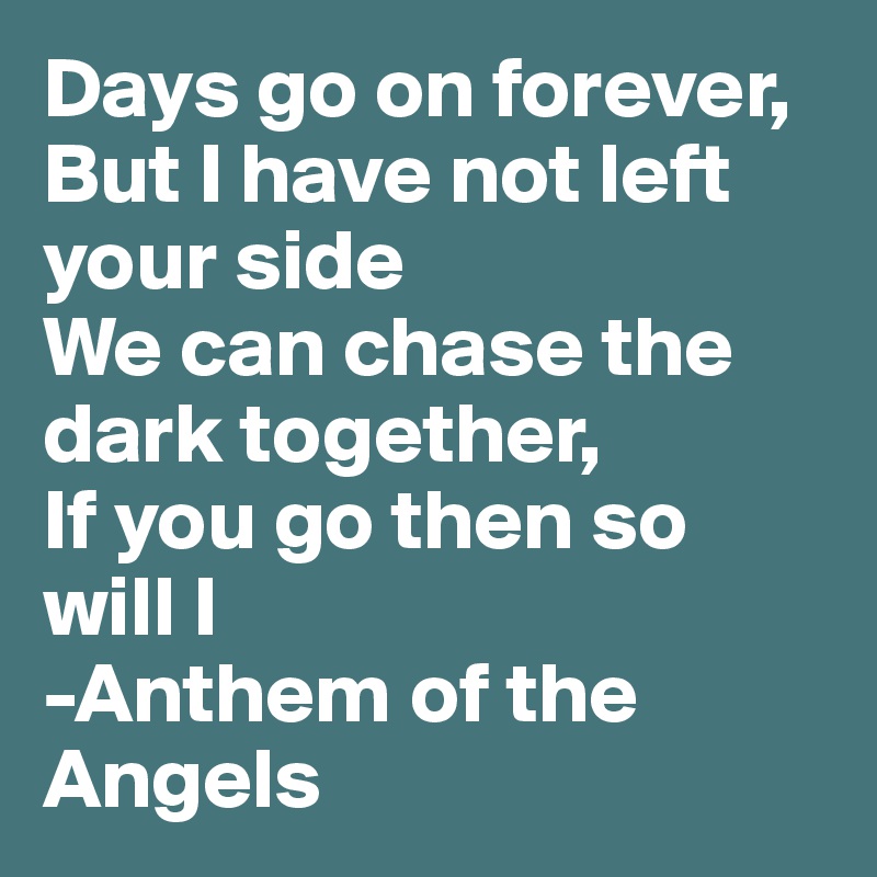 Days go on forever,
But I have not left your side
We can chase the dark together,
If you go then so will I
-Anthem of the Angels