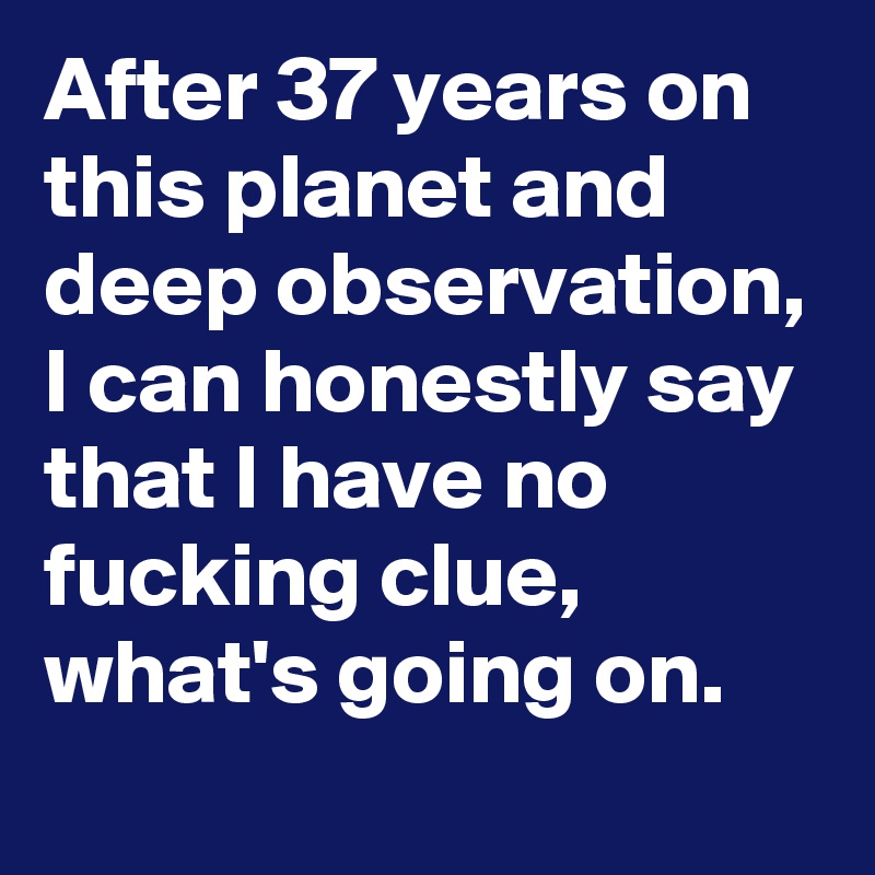 After 37 years on this planet and deep observation, I can honestly say that I have no fucking clue, what's going on.

