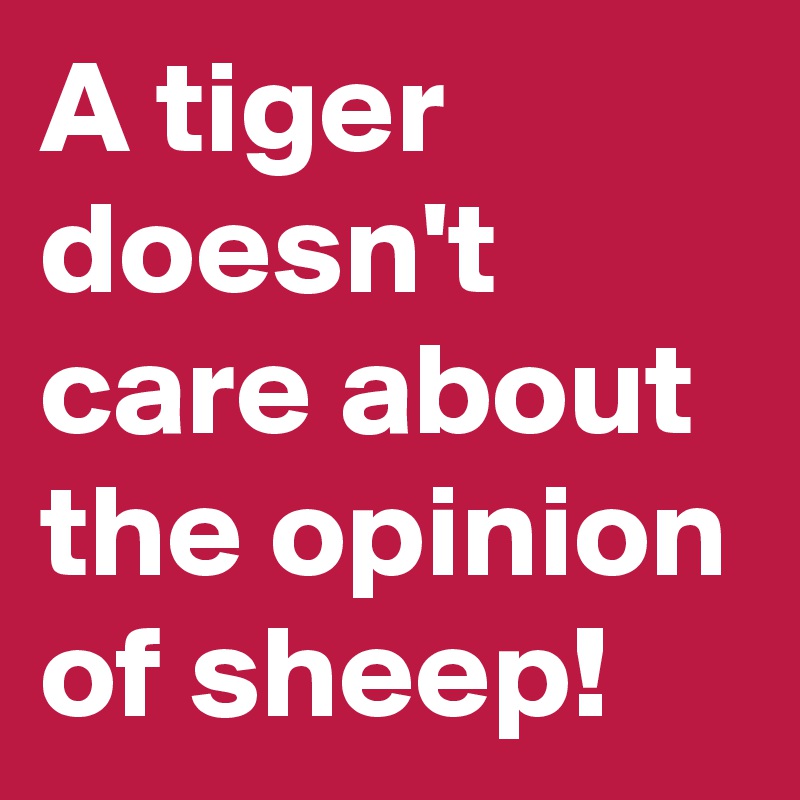 A tiger doesn't care about the opinion of sheep!