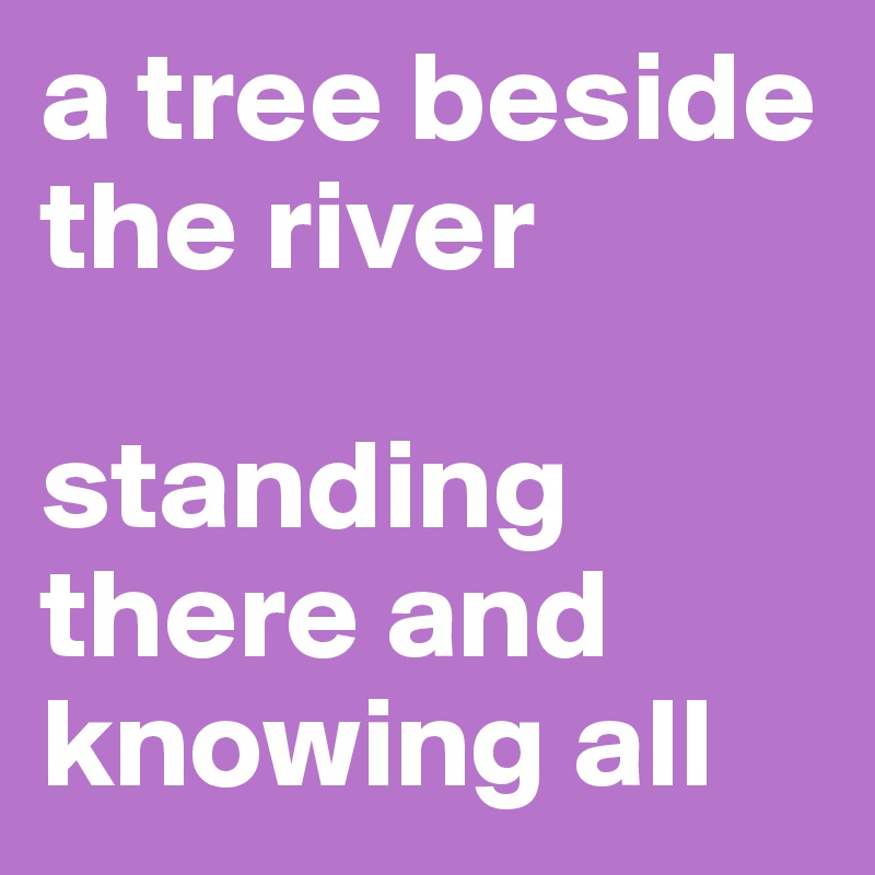 a tree beside the river

standing there and knowing all