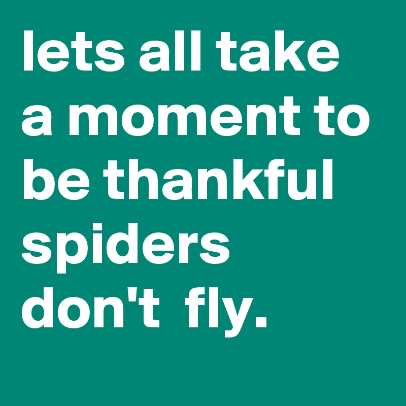 lets all take a moment to be thankful spiders don't  fly.