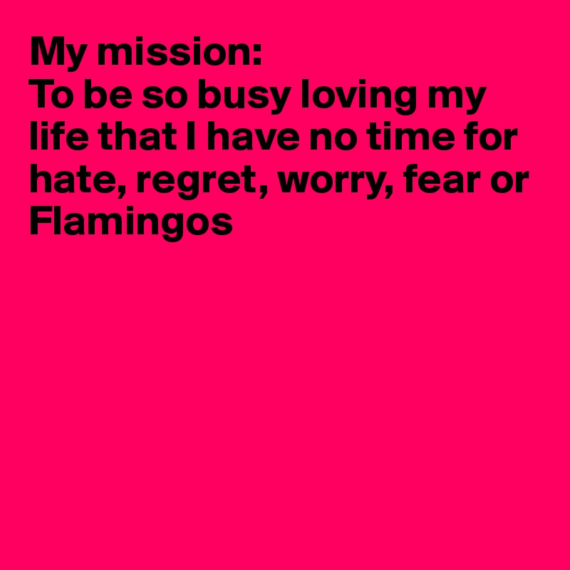 My mission: 
To be so busy loving my life that I have no time for hate, regret, worry, fear or Flamingos







