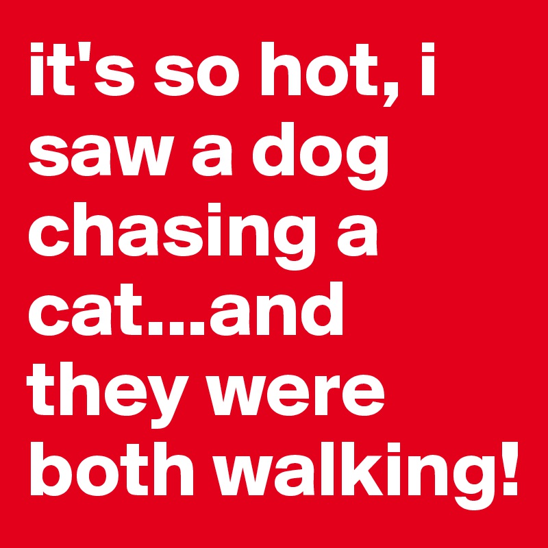 it's so hot, i saw a dog chasing a cat...and they were both walking! 