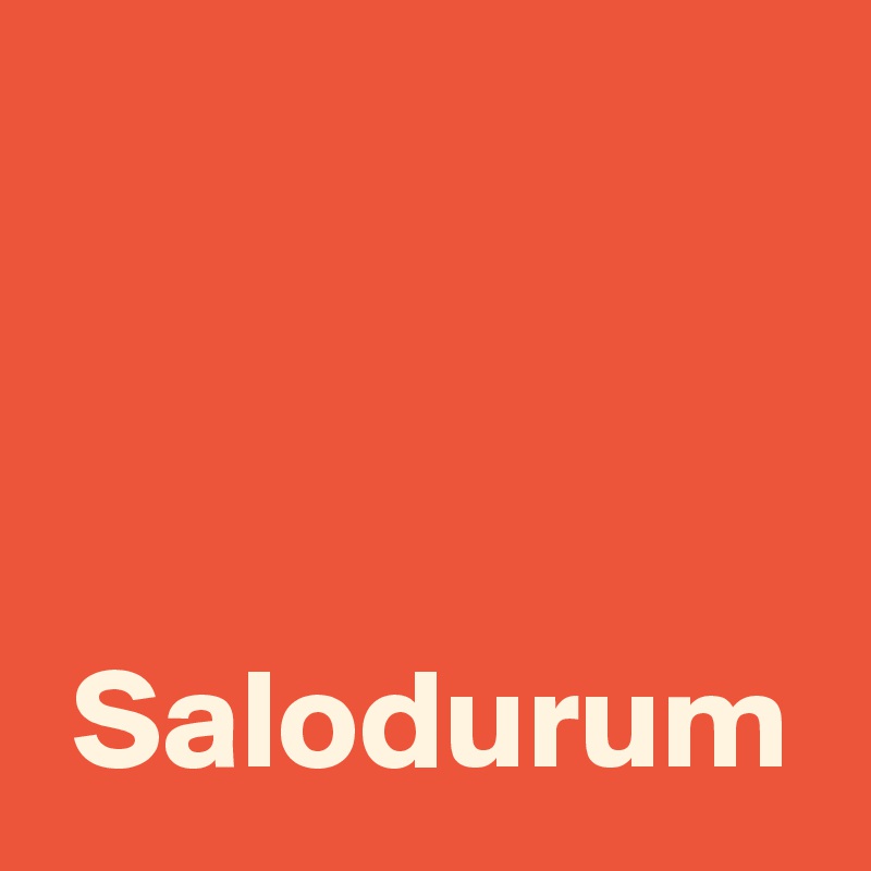 



 Salodurum