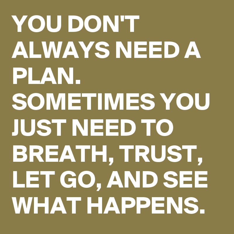 YOU DON'T ALWAYS NEED A PLAN. SOMETIMES YOU JUST NEED TO BREATH, TRUST, LET GO, AND SEE WHAT HAPPENS.