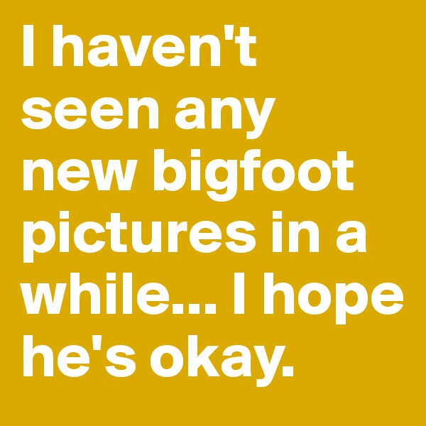 I haven't seen any new bigfoot pictures in a while... I hope he's okay.