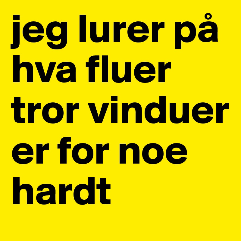 jeg lurer på hva fluer tror vinduer er for noe
hardt