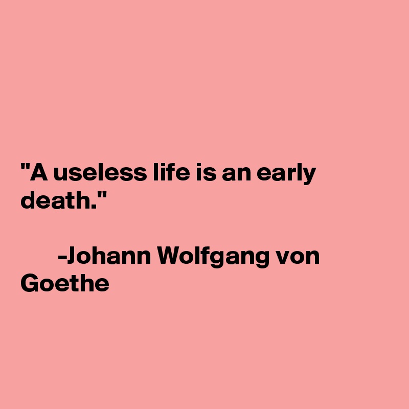 




"A useless life is an early death."

       -Johann Wolfgang von Goethe


