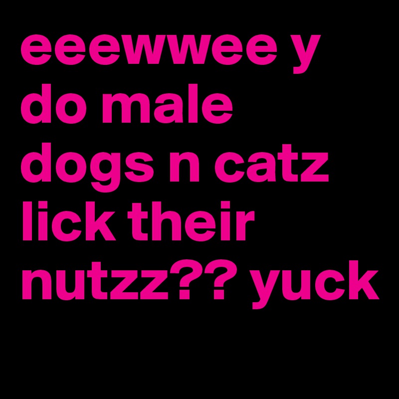 eeewwee y do male dogs n catz lick their nutzz?? yuck