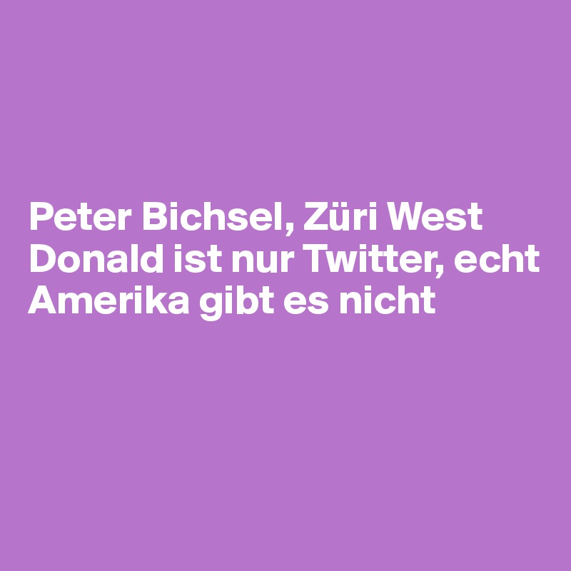 



Peter Bichsel, Züri West
Donald ist nur Twitter, echt
Amerika gibt es nicht




