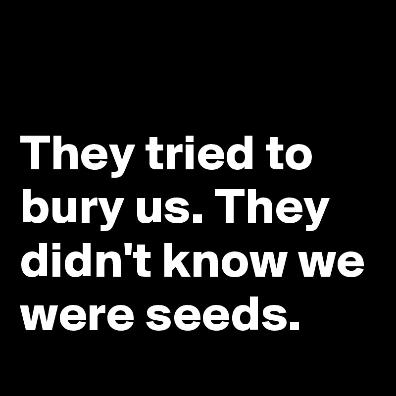 They Tried To Bury Us They Didnt Know We Were Seeds Post By Jamille On Boldomatic 