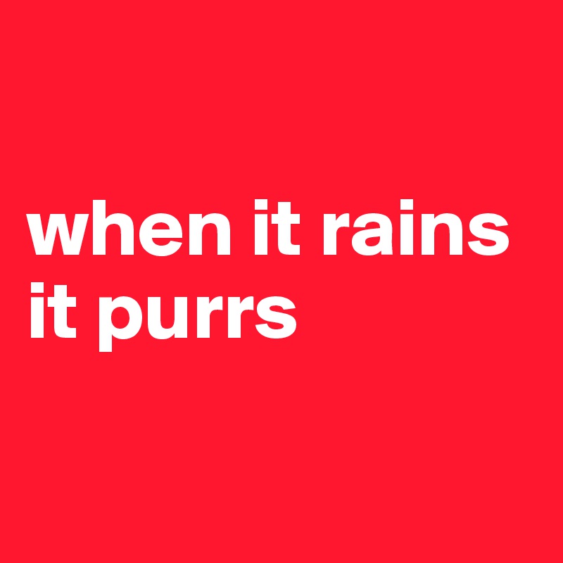 

when it rains
it purrs

