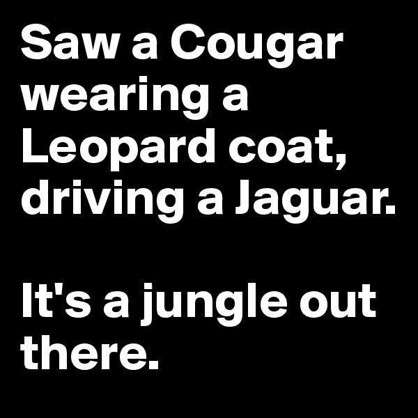 Saw a Cougar wearing a Leopard coat, driving a Jaguar. 

It's a jungle out there.