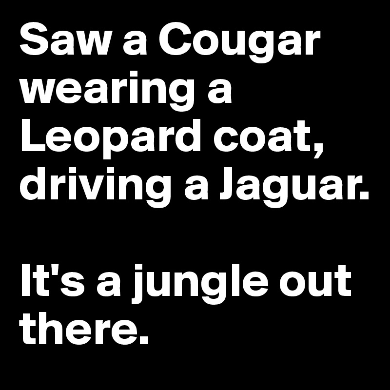 Saw a Cougar wearing a Leopard coat, driving a Jaguar. 

It's a jungle out there.