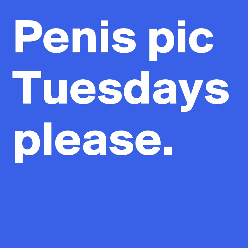 Penis pic Tuesdays
please.