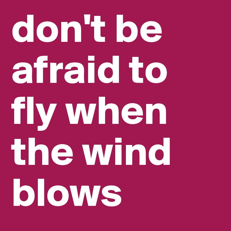 don't be afraid to fly when the wind blows