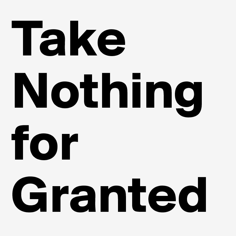 take-nothing-for-granted-synonym-filhosdolaranjal