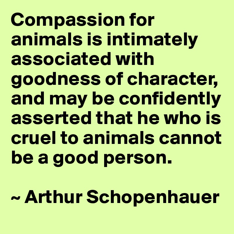 Compassion for animals is intimately associated with goodness of character, and may be confidently asserted that he who is cruel to animals cannot be a good person.

~ Arthur Schopenhauer