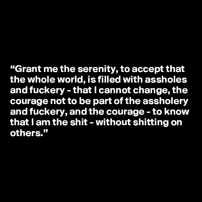




“Grant me the serenity, to accept that the whole world, is filled with assholes and fuckery - that I cannot change, the courage not to be part of the assholery and fuckery, and the courage - to know that I am the shit - without shitting on others.”





