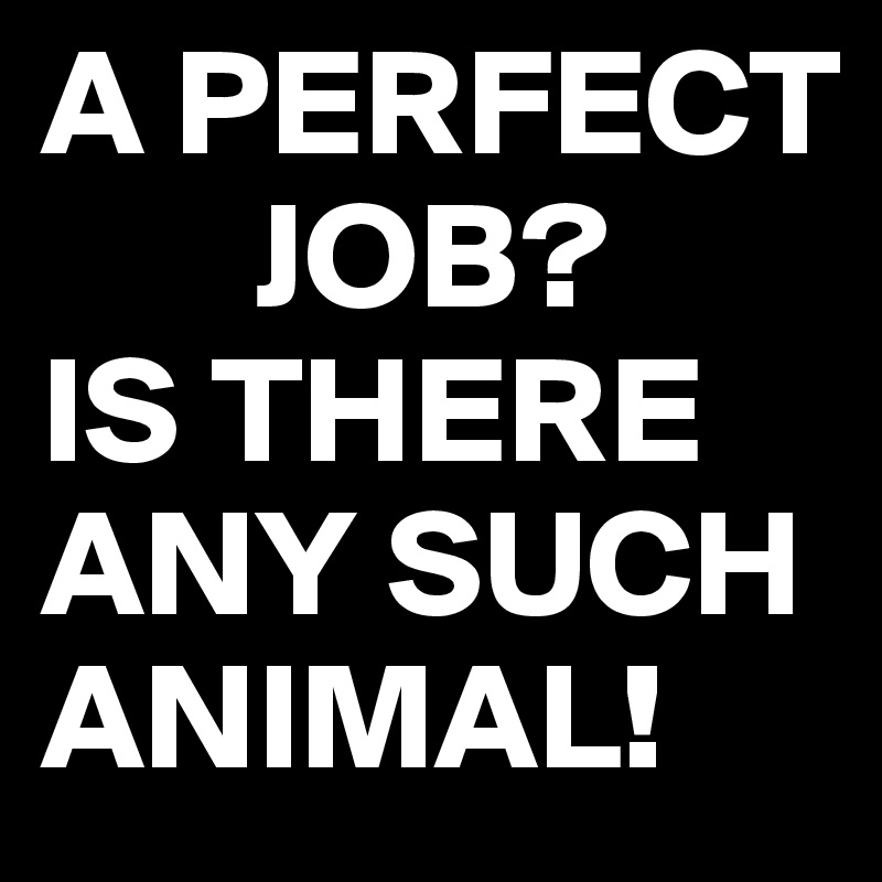 A PERFECT 
       JOB?
IS THERE
ANY SUCH ANIMAL! 