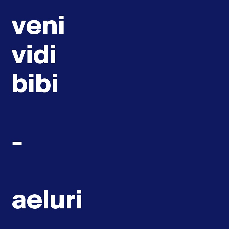 veni
vidi
bibi

-

aeluri