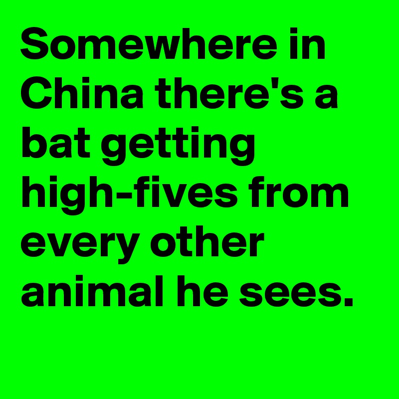 Somewhere in China there's a bat getting high-fives from every other animal he sees.