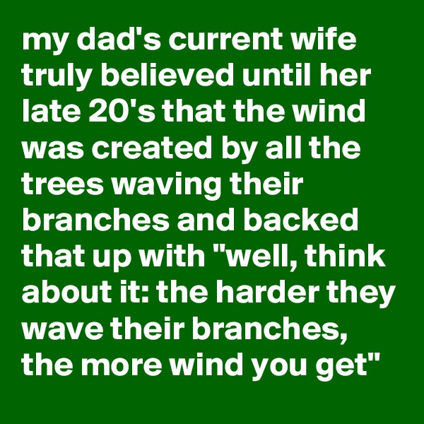 my dad's current wife truly believed until her late 20's that the wind was created by all the trees waving their branches and backed that up with "well, think about it: the harder they wave their branches, the more wind you get"