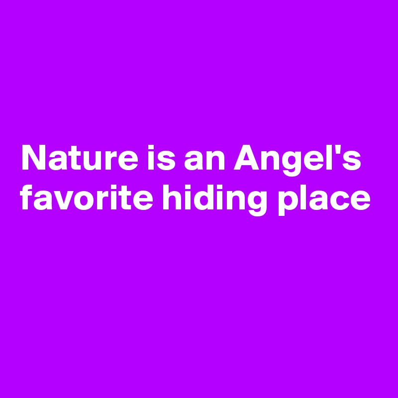 


Nature is an Angel's 
favorite hiding place 



