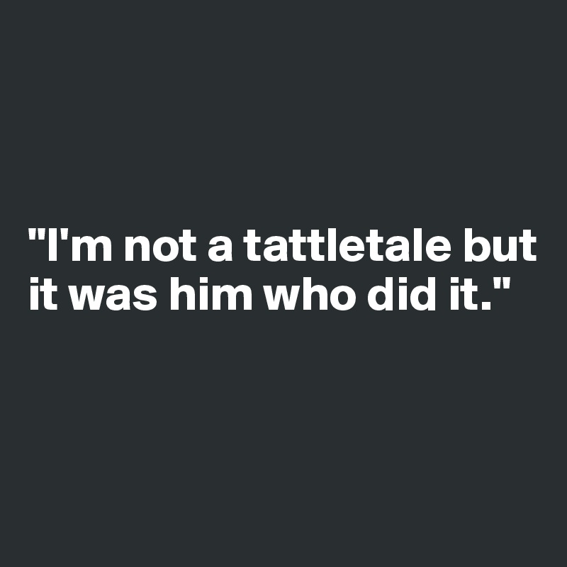 



"I'm not a tattletale but it was him who did it."



