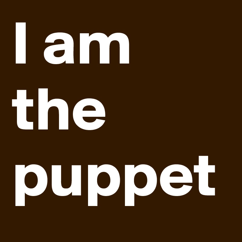 I am the puppet