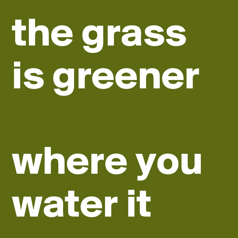 the grass is greener

where you water it