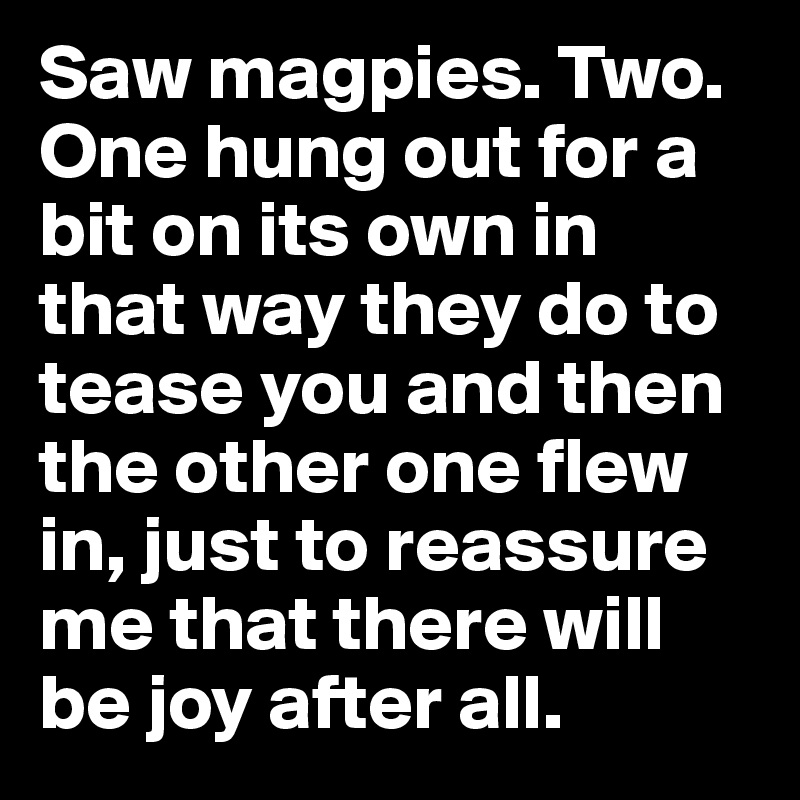 Saw magpies. Two. One hung out for a bit on its own in that way they do to tease you and then the other one flew in, just to reassure me that there will be joy after all.